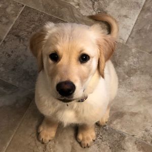 Meet your Posher, Lynda